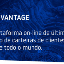 D&B Credit Advantage