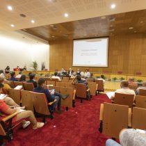 Colóquio-debate | O Presente e o Futuro das Micro e Pequenas Empresas