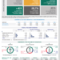 Firmografia do Tecido Empresarial